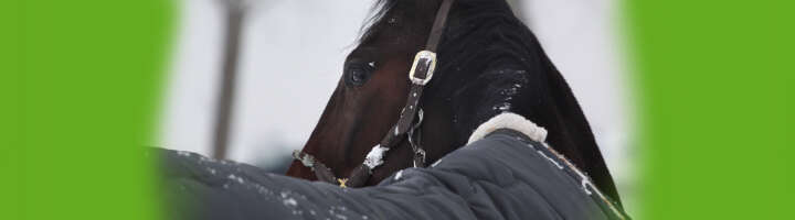 winterdecke kategorieeinstiegsbanner winterdecke kategorieeinstiegsbanner